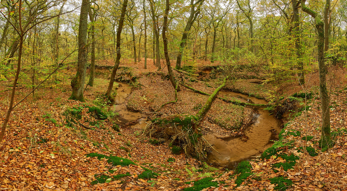 Herbst15
