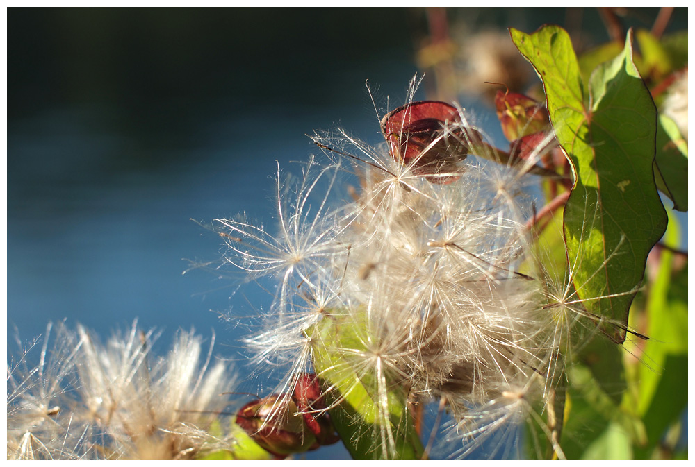 herbst2