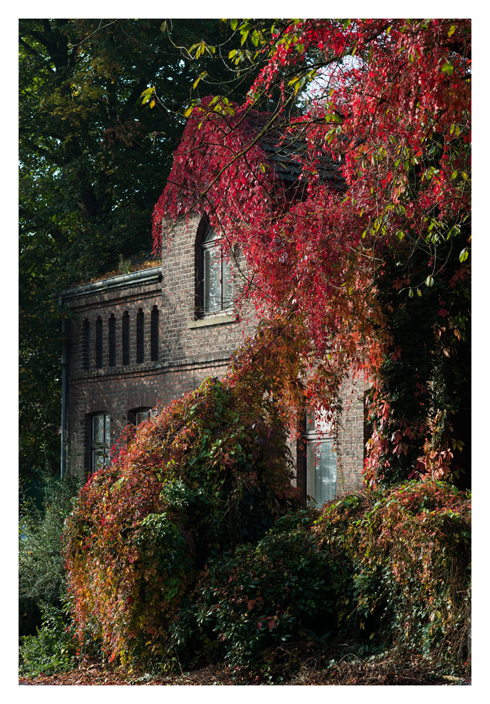 herbst2