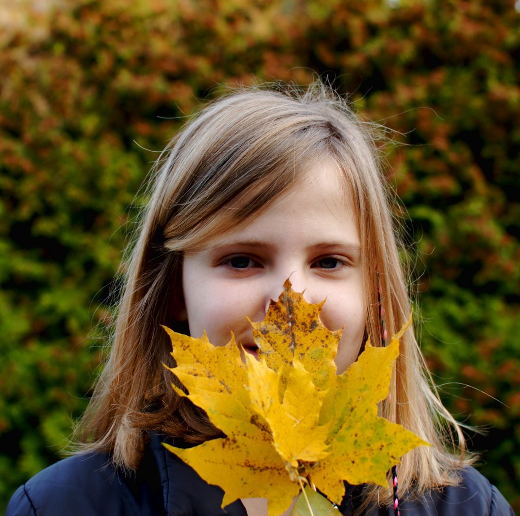 Herbst2