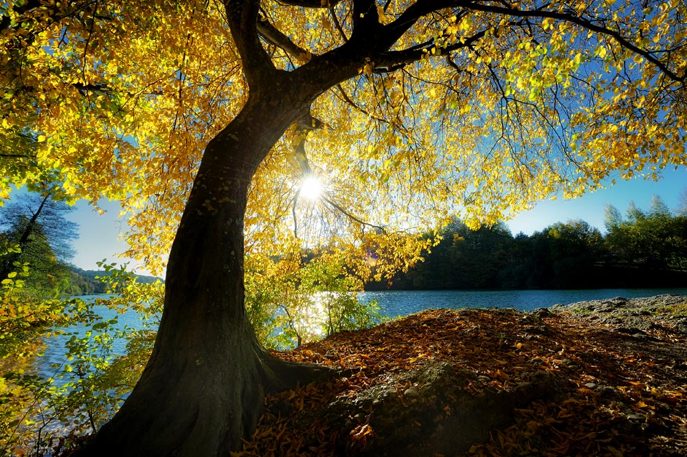 Herbst3