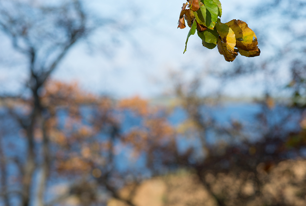 herbst3