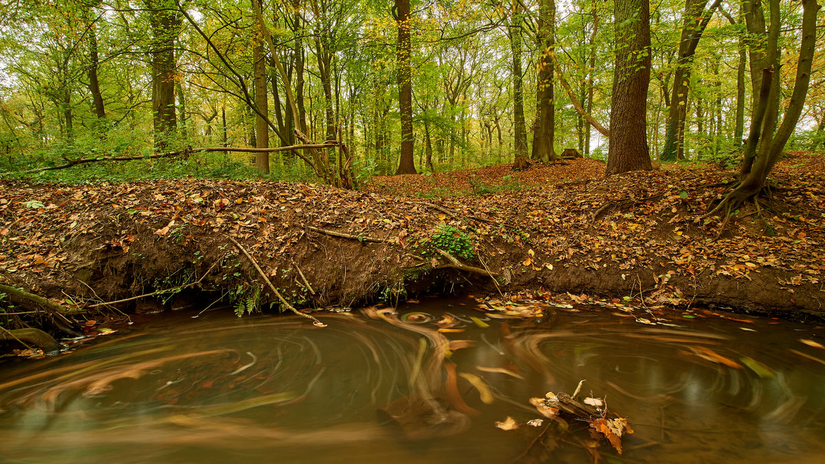 Herbst3