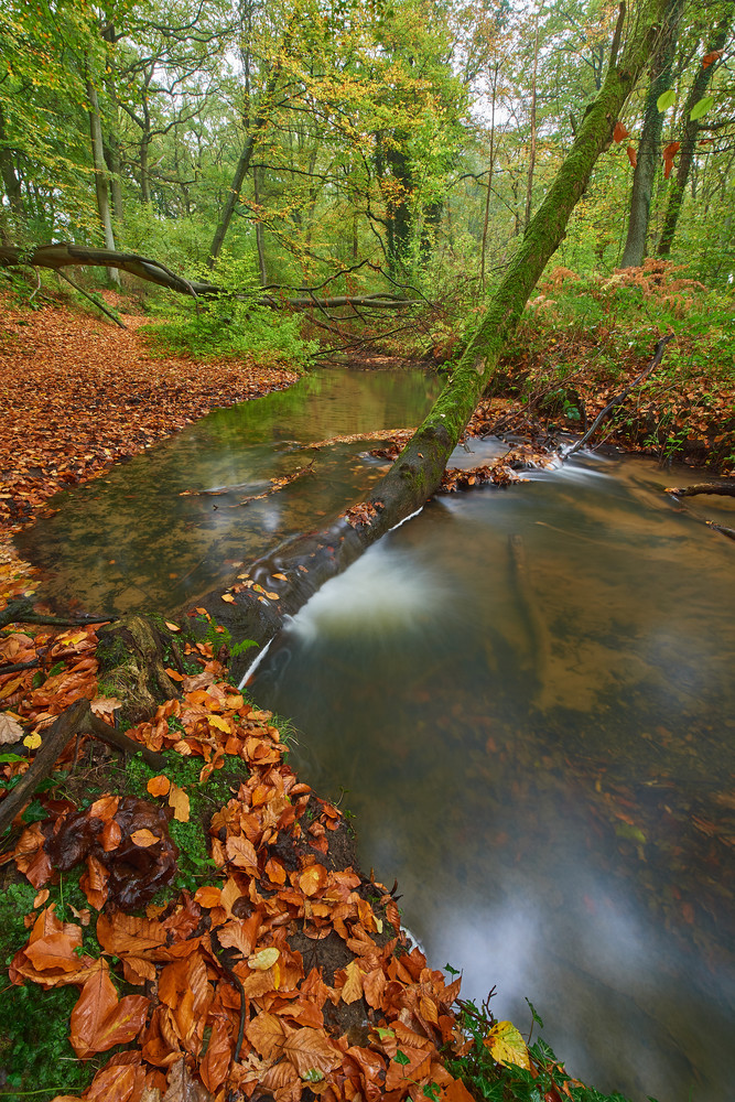 Herbst7