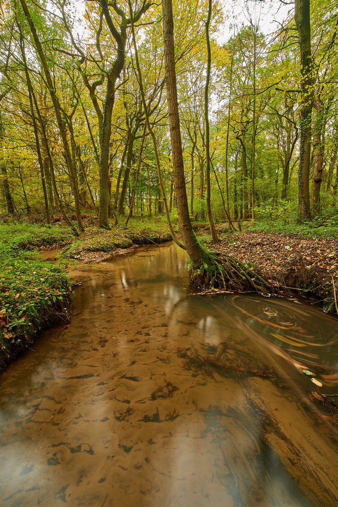 Herbst8
