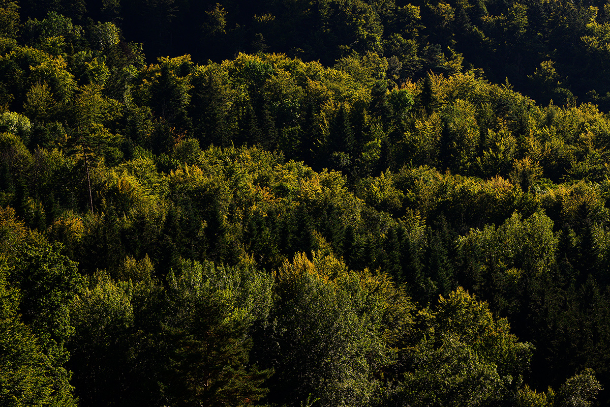 Herbst_12.jpg
