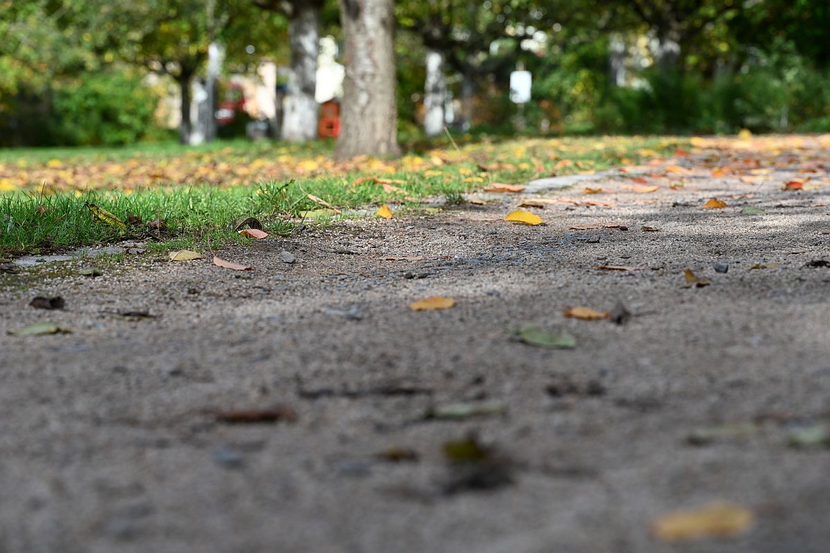 Herbst_13.jpg