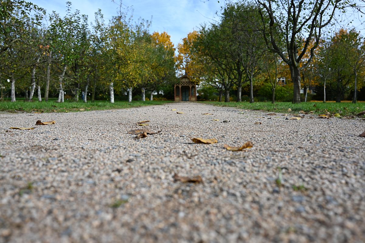 Herbst_20.jpg