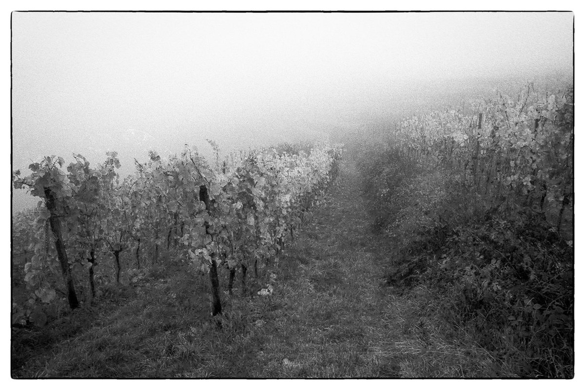 Herbst_2021-4.jpg