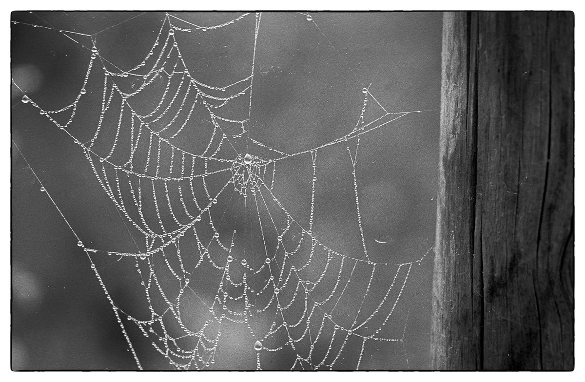 Herbst_2021-7.jpg