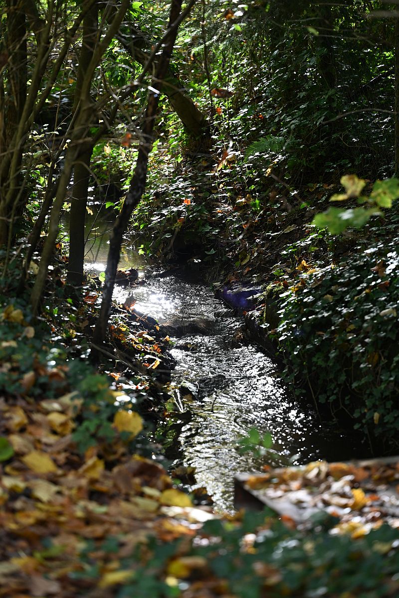Herbst_23.jpg