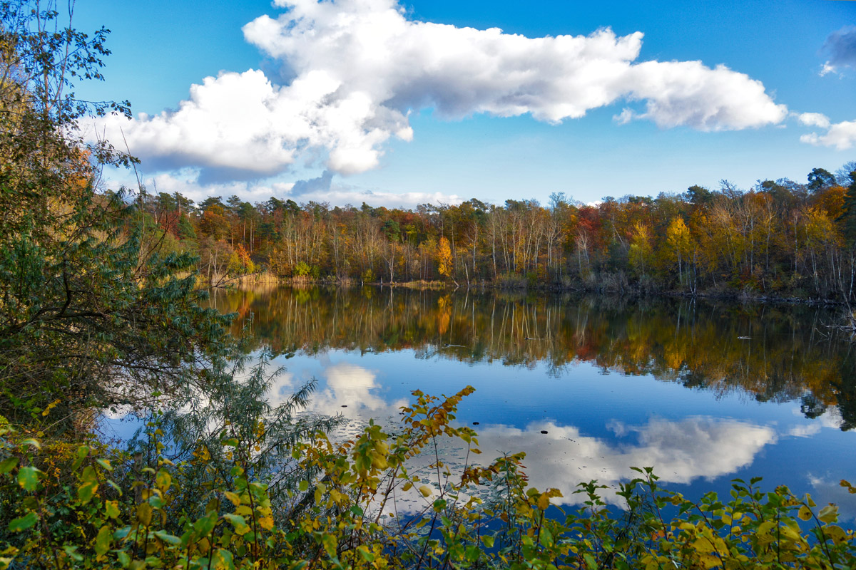 herbst_am_see_1200.jpg