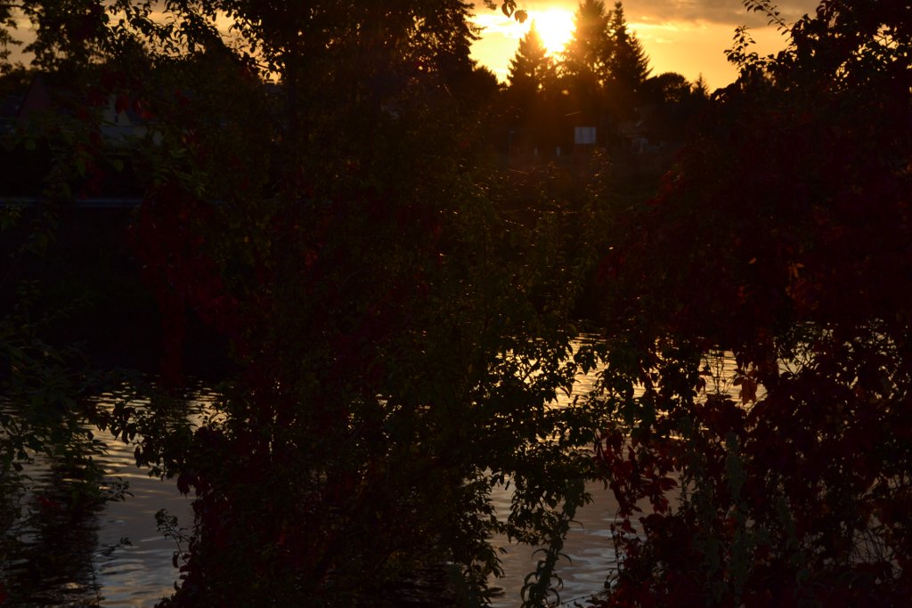 Herbstabendsonne