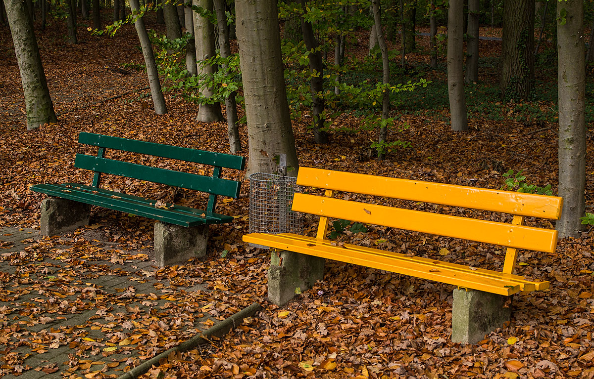 Herbstbänke 1