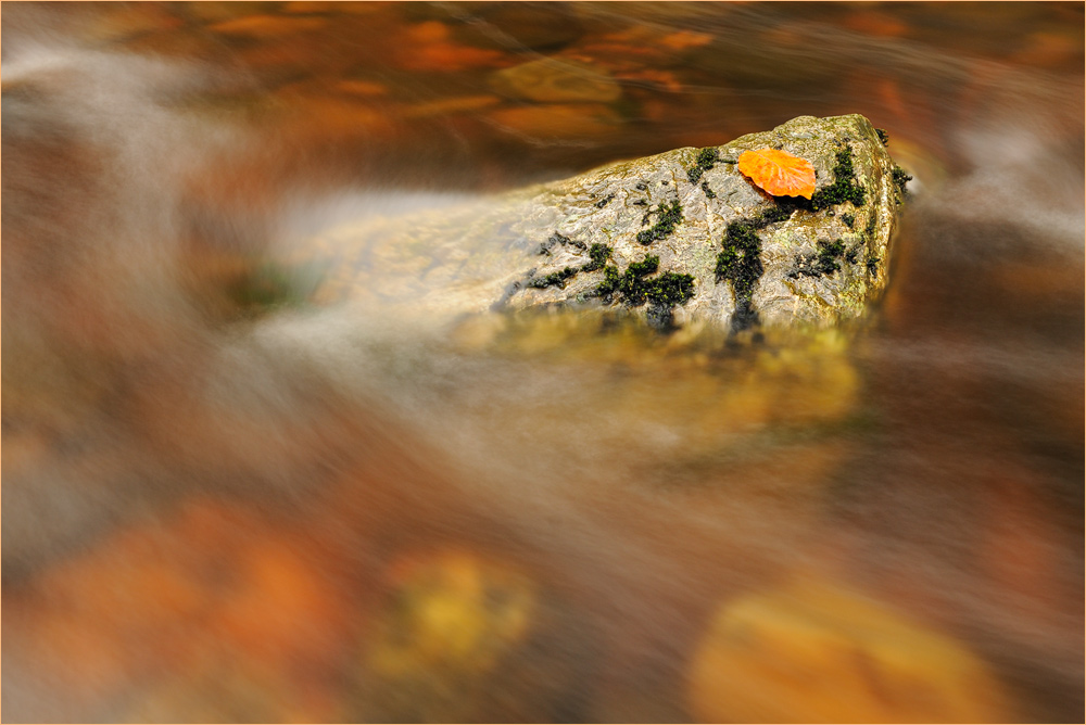 Herbstbach