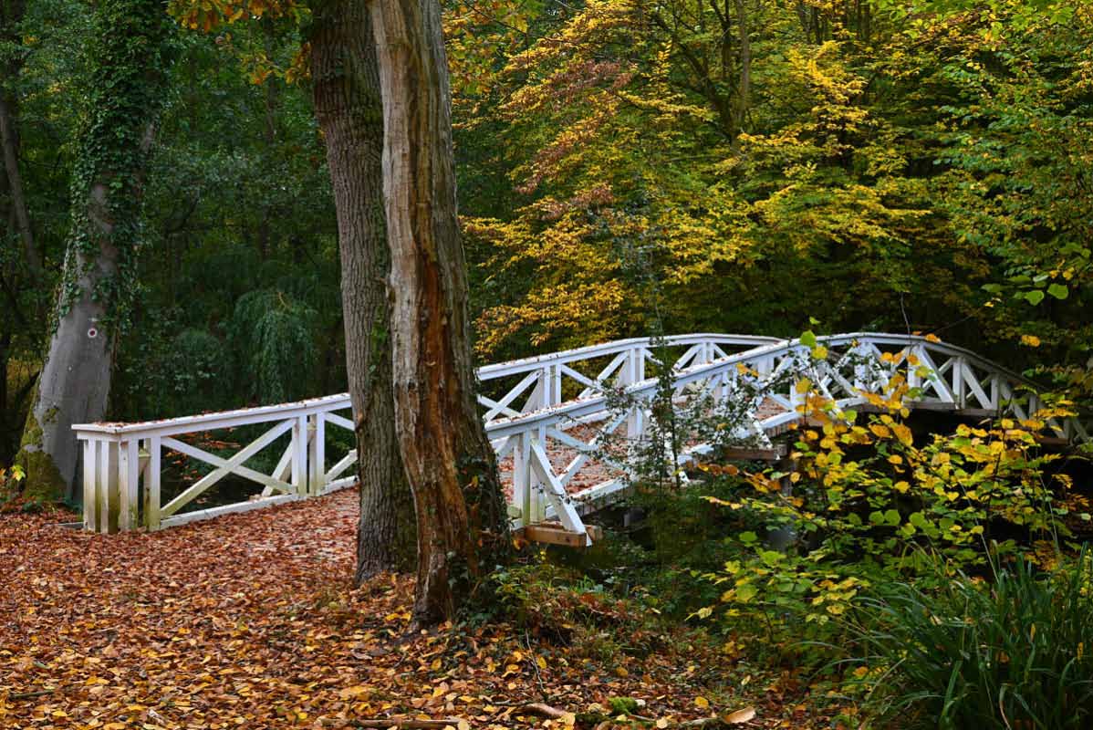 Herbstbrücke 1.jpg