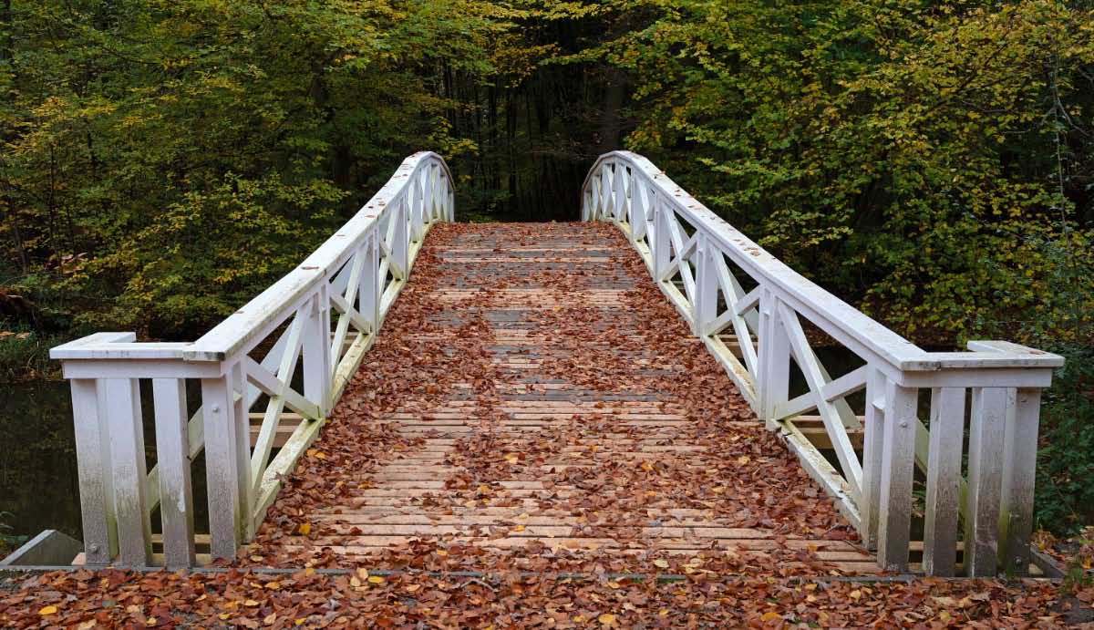 Herbstbrücke.jpg