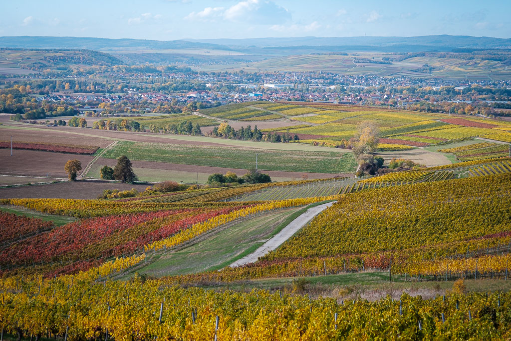 Herbstfarben-4300.jpg