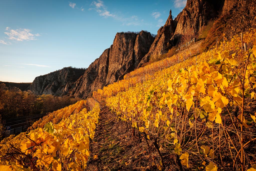 Herbstfarben-4534.jpg