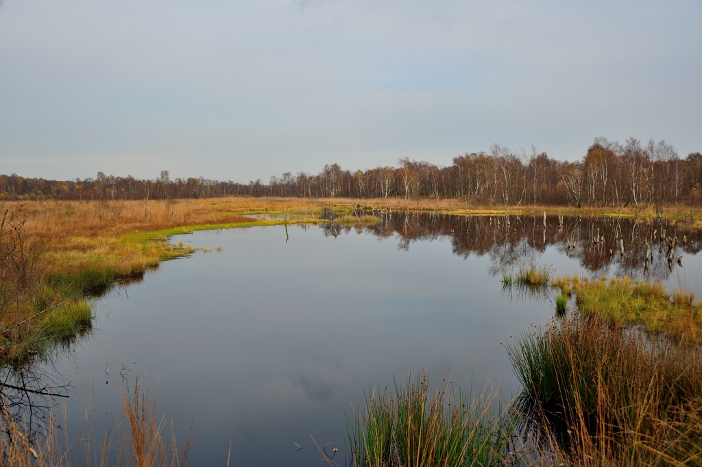 Herbstfarben am See