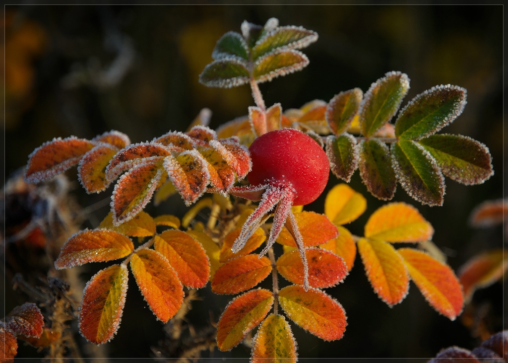 Herbstfarben