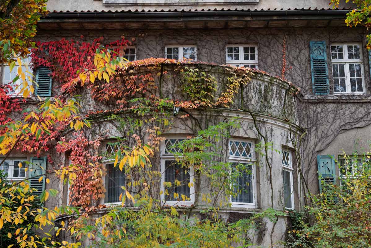 Herbstfassade.jpg