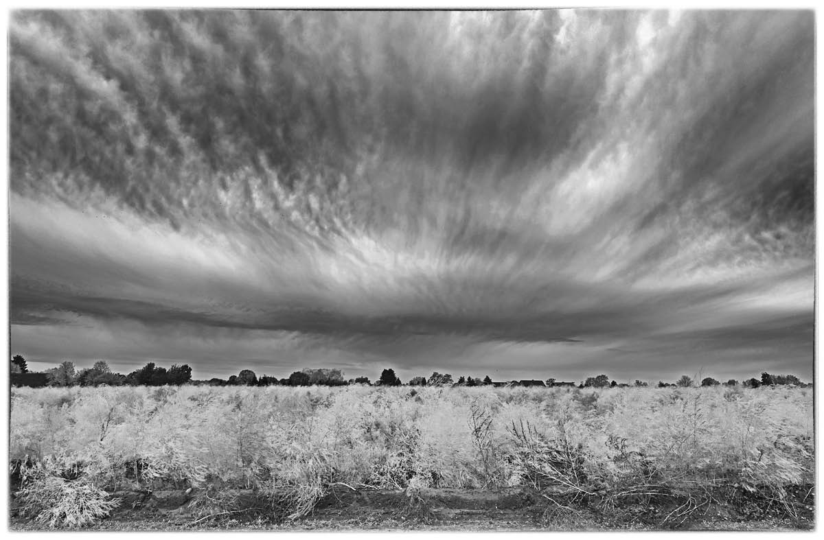Herbstgewölk 3_BW.jpg