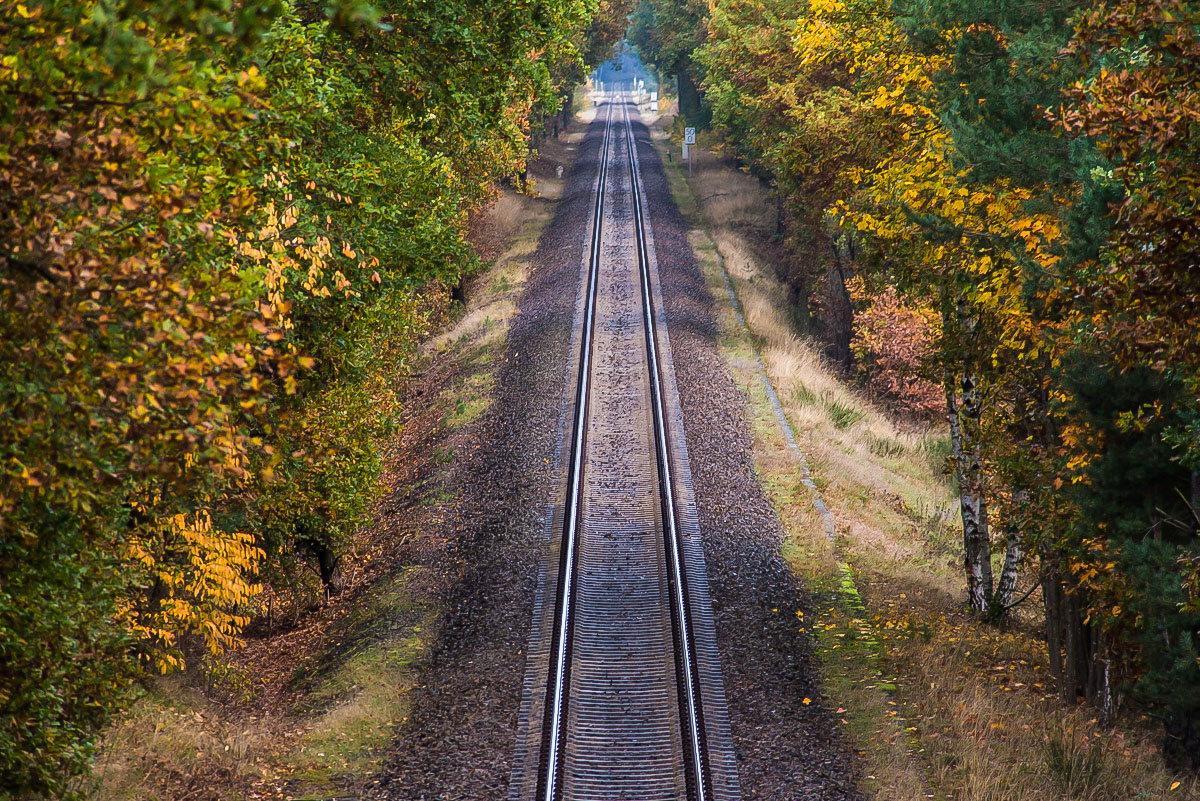 Herbstgleis (1 von 1).JPG
