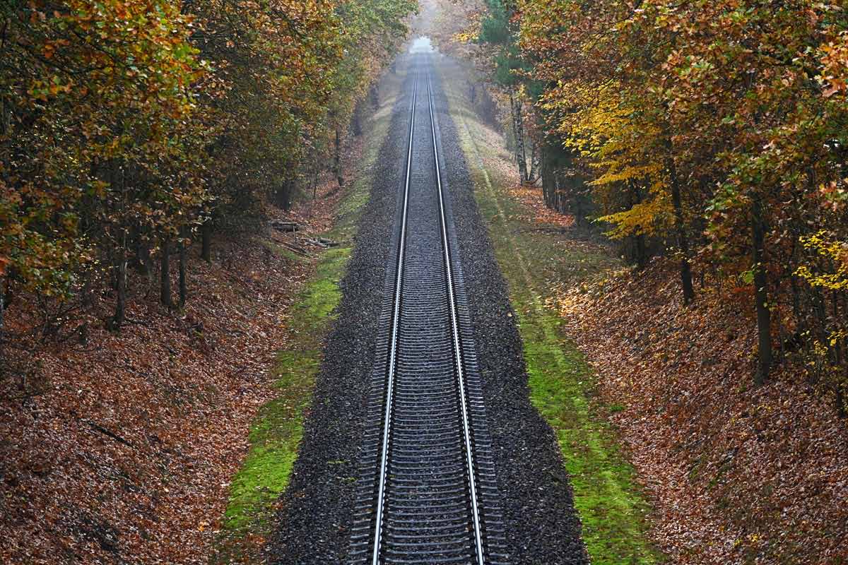 Herbstgleis.jpg