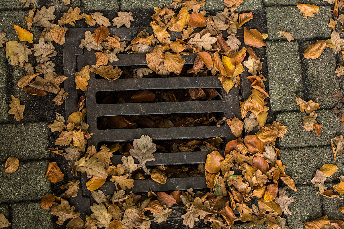 Herbstgully