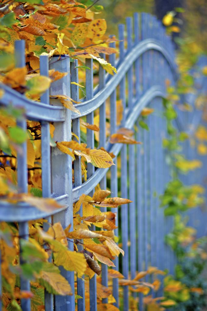 Herbstimpression in Leipzig