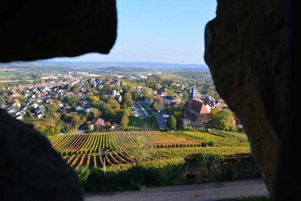 Herbstimpressionen 5