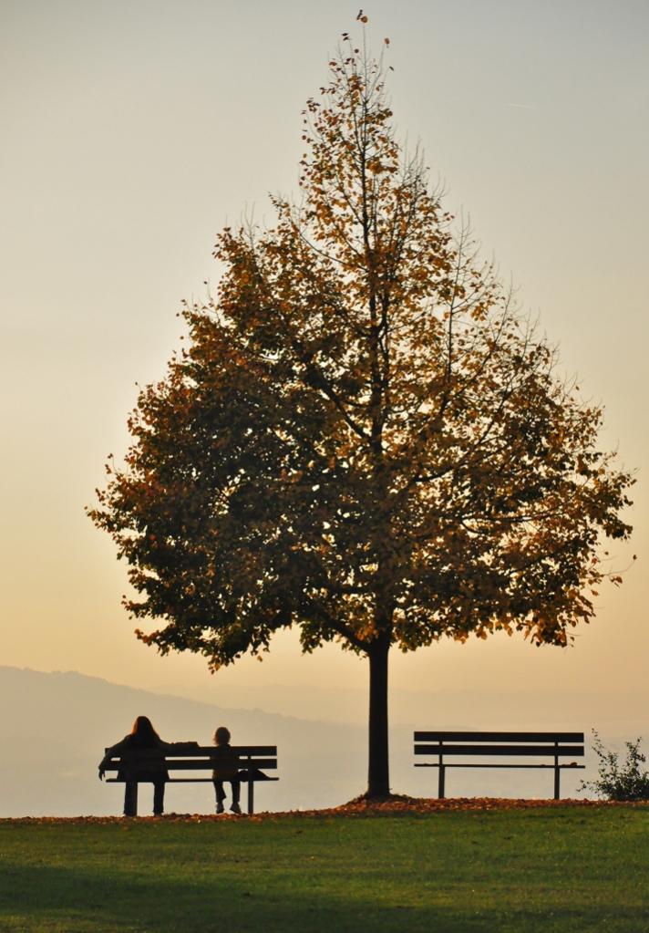 Herbstimpressionen