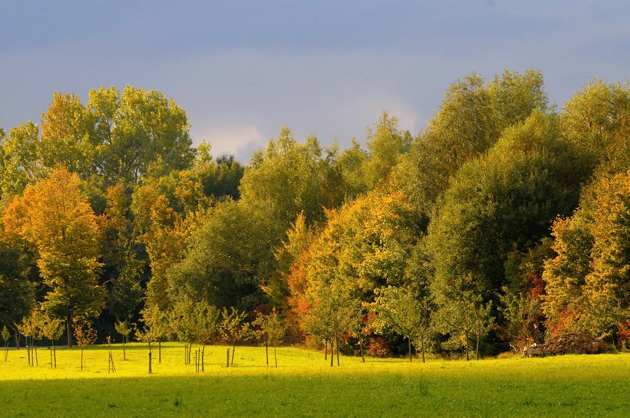 Herbstimpressionen
