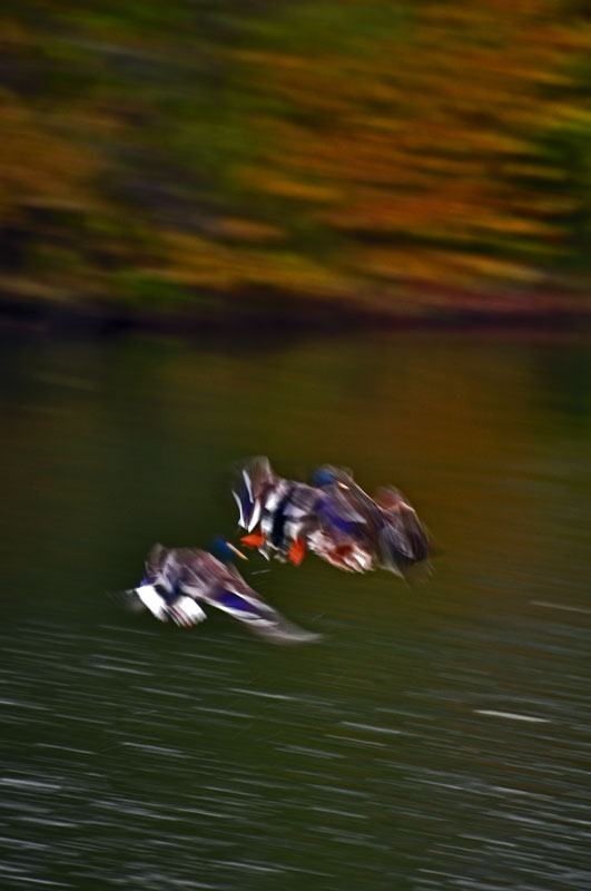 Herbstimpressionismus
