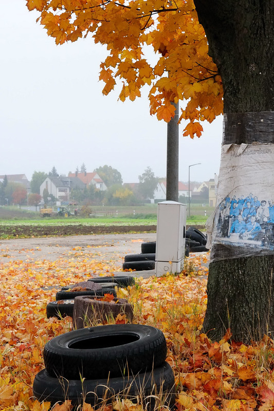Herbstkontrast