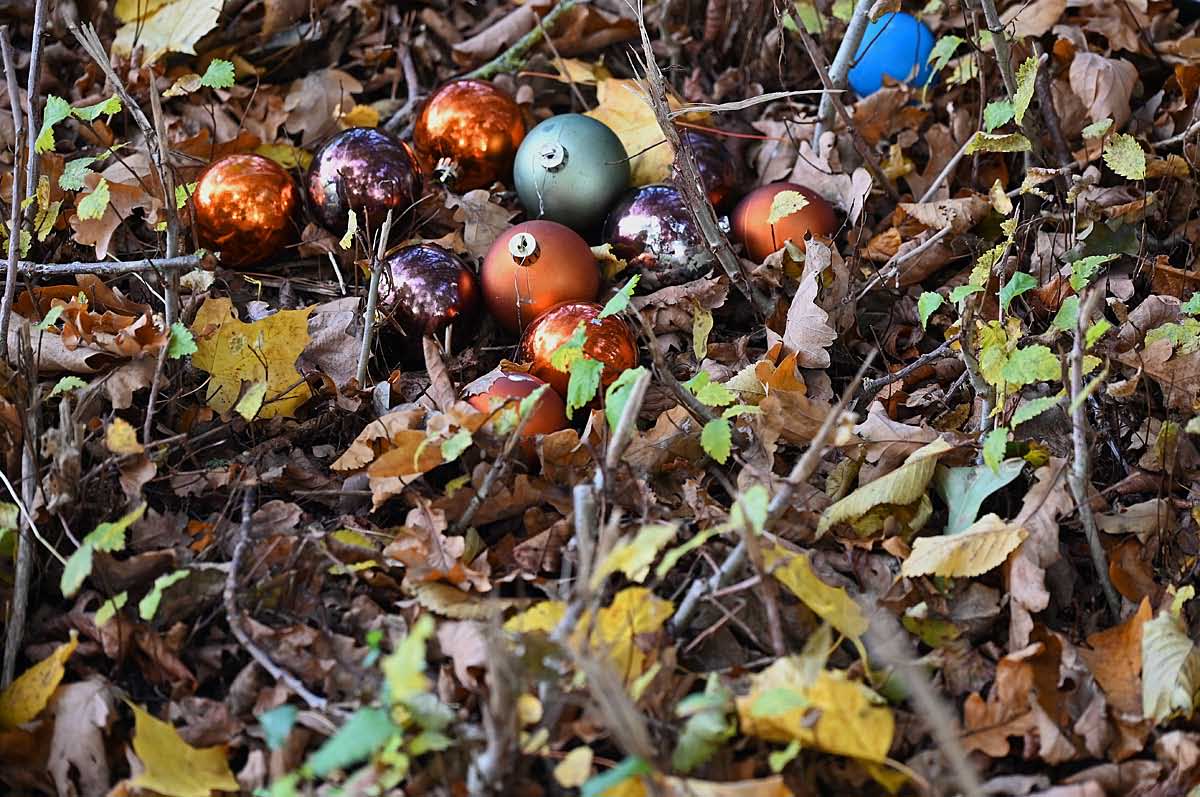 Herbstkugeln.jpg
