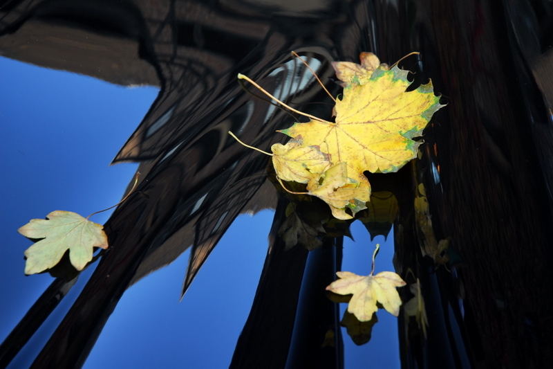 HerbstLich(t)
