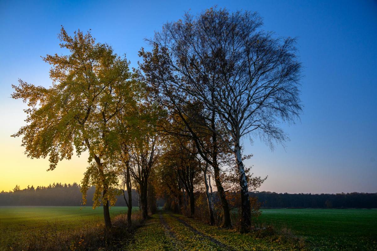 Herbstliche Morgensonne