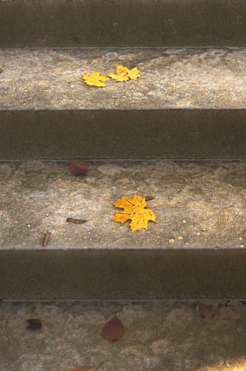herbstliche Treppe