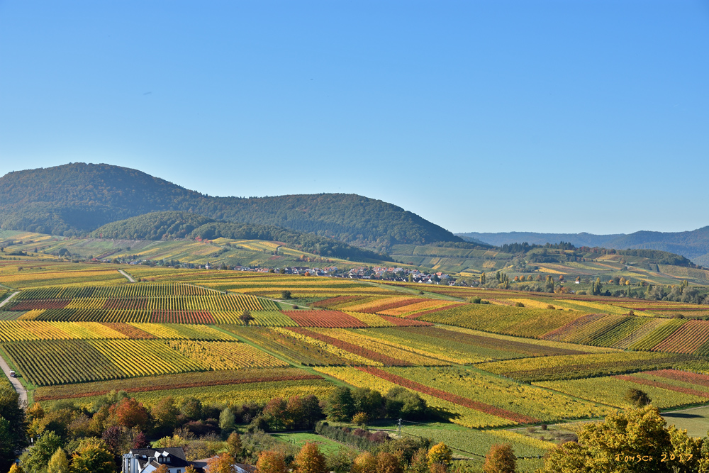 Herbstlicher Flickenteppich [DSC1522]