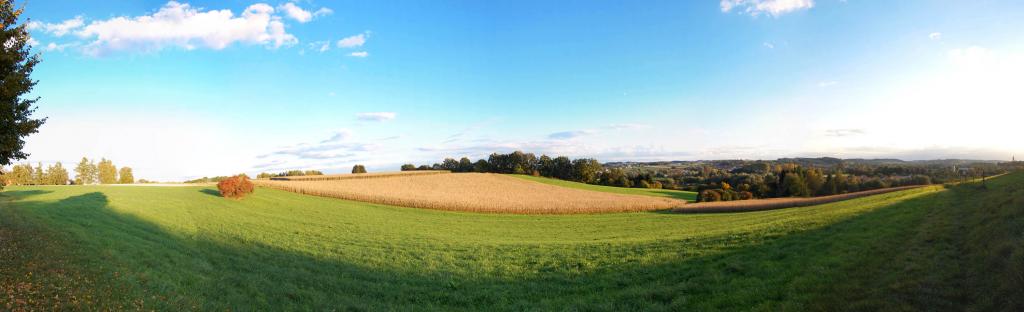 Herbstlicher Tag in der Gegend