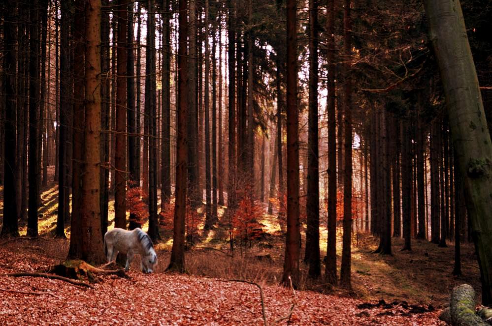 herbstlicher