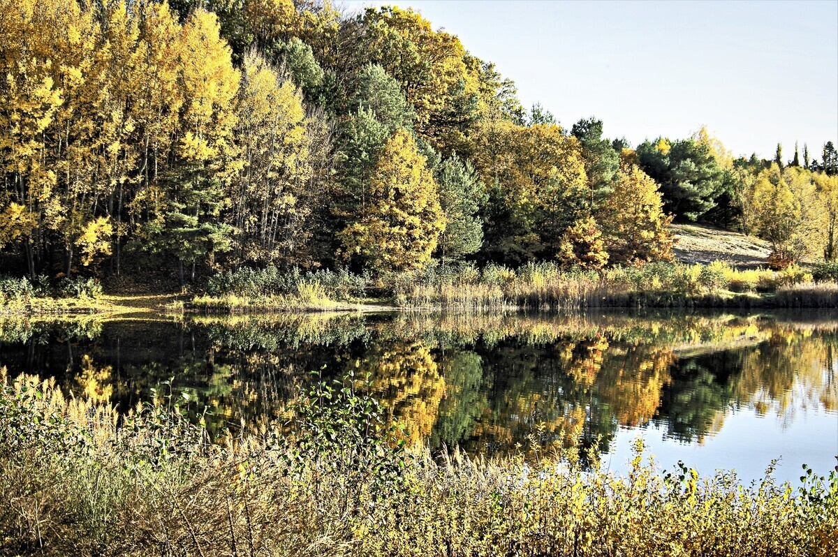 Herbstliches Seeufer.jpg