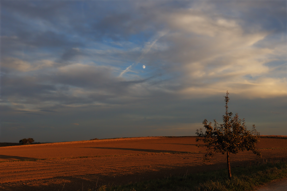Herbstlicht