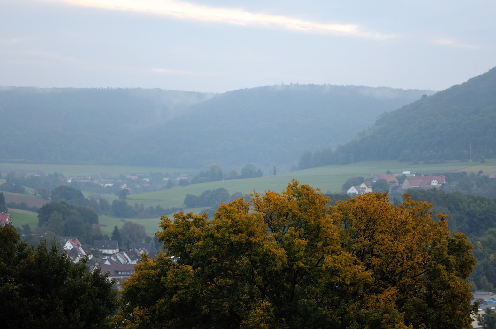 Herbstmorgen