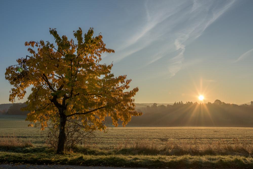 Herbstmorgen