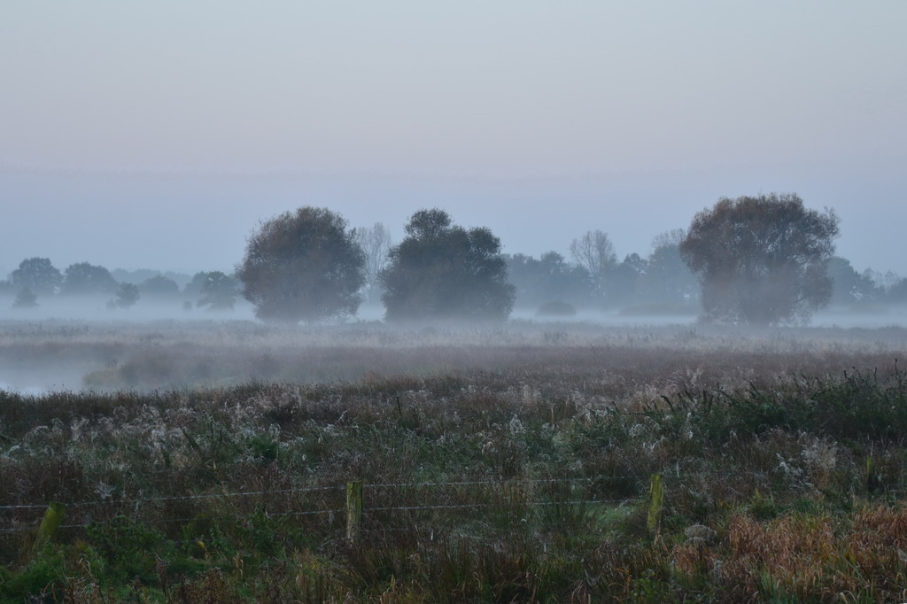 Herbstmorgen