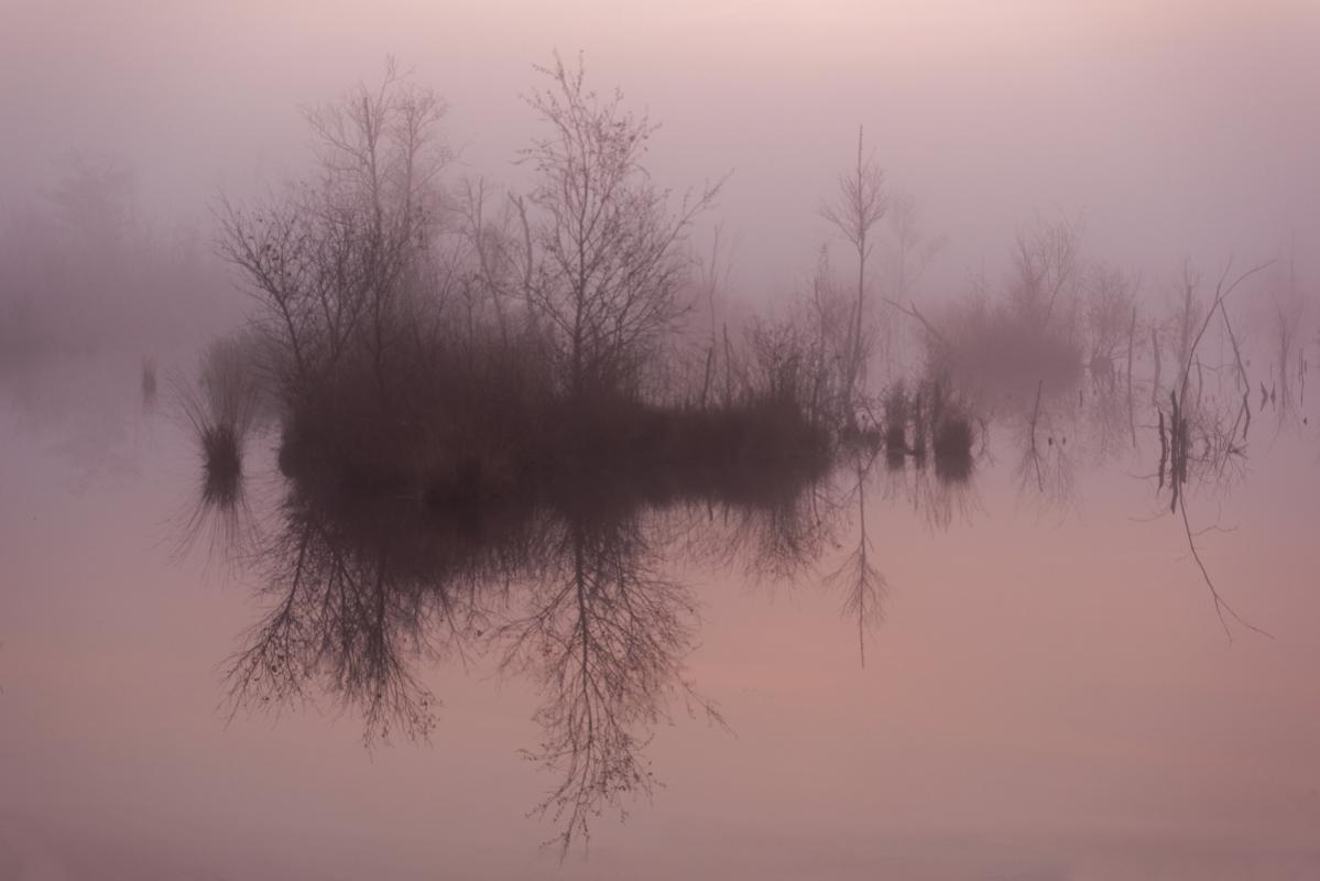 Herbstmorgen