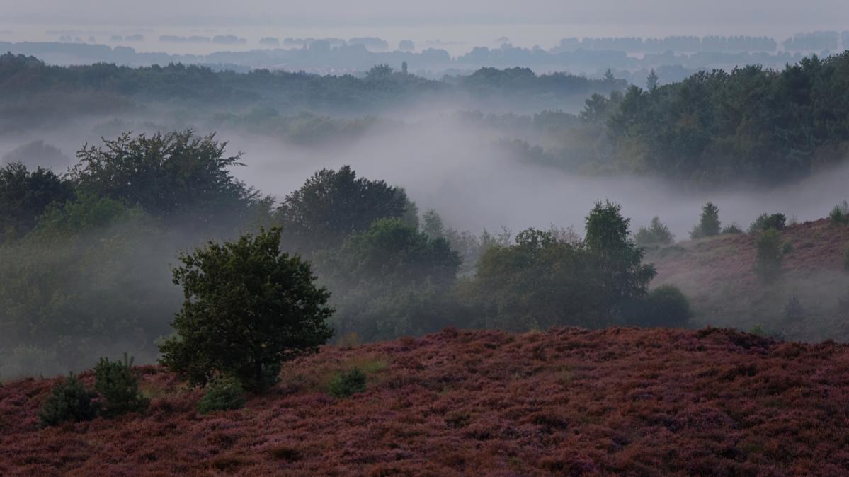 Herbstmorgen